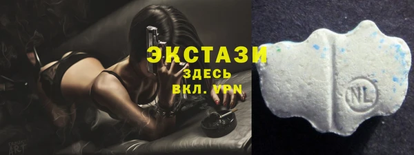 ECSTASY Белокуриха