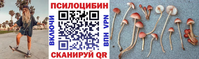 Галлюциногенные грибы Psilocybine cubensis  Чусовой 